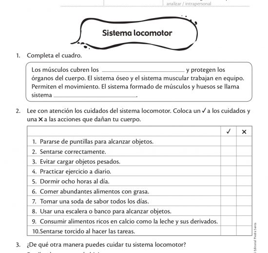 Sistema locomotor