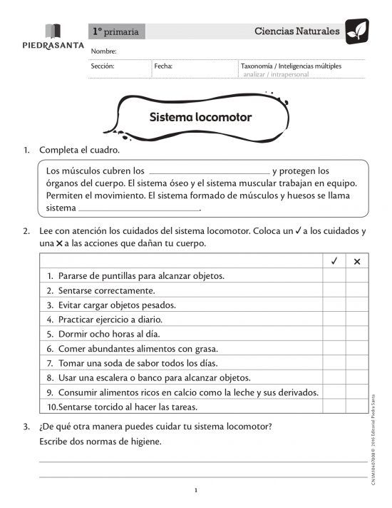 Sistema locomotor