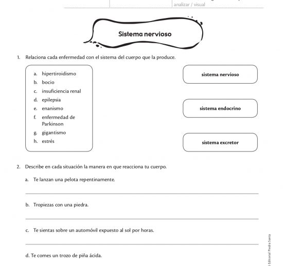 Sistema nervioso
