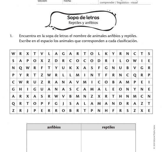 Sopa de letras