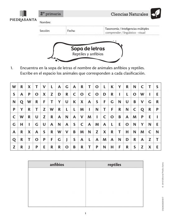 Sopa de letras