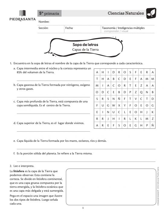 Sopa de letras
