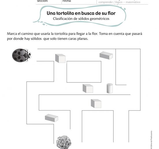 Una tortolita en busca de su flor