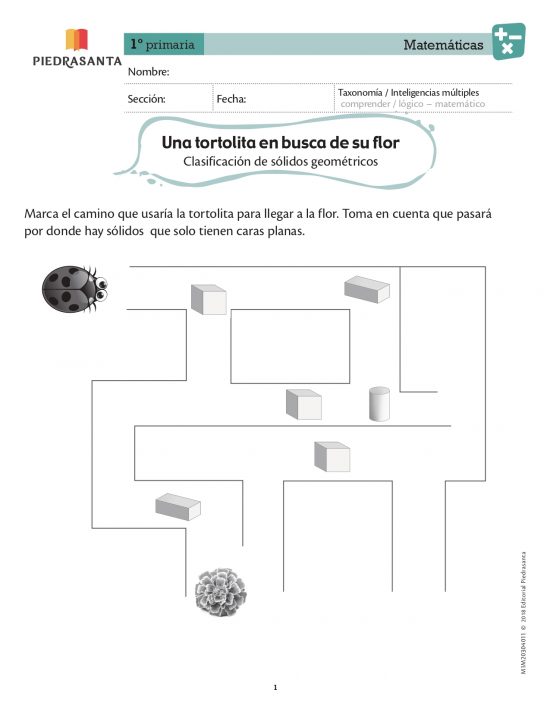 Una tortolita en busca de su flor