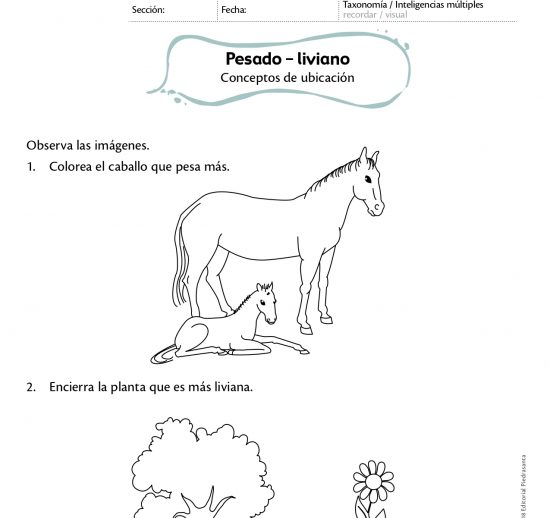pesado - liviano