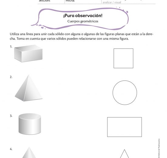 ¡Pura observación!