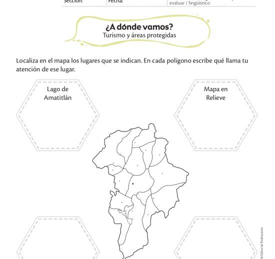 ¿A dónde vamos?