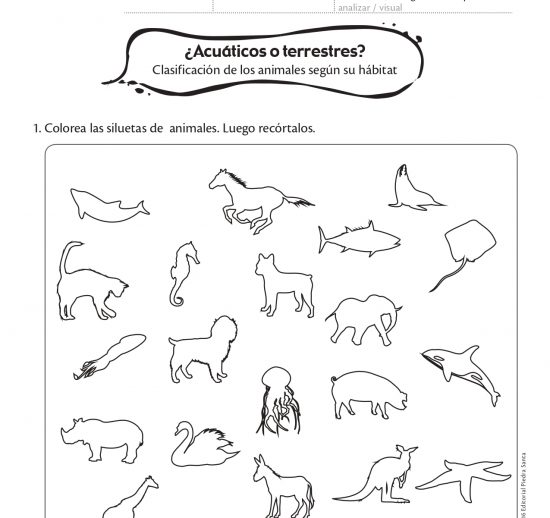 ¿Acuáticos o terrestres?