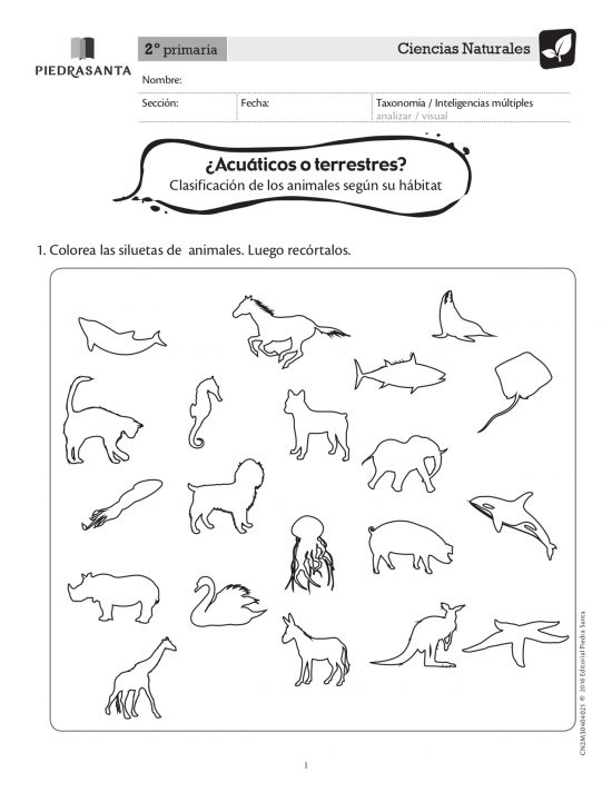 ¿Acuáticos o terrestres?