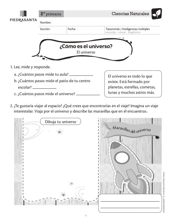 ¿Cómo es el Universo?