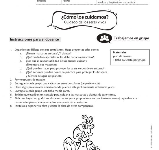 ¿Cómo los cuidamos?