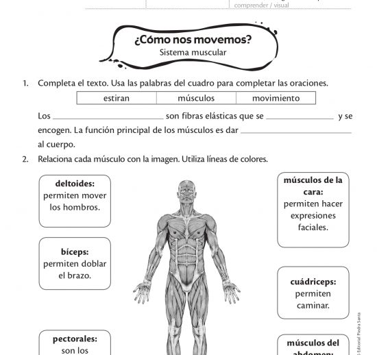 ¿Cómo nos movemos?