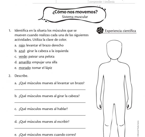¿Cómo nos movemos?