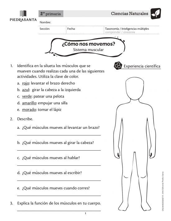 ¿Cómo nos movemos?