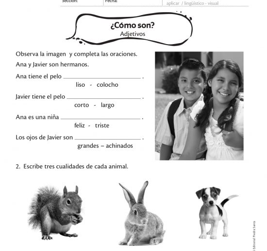 ¿Cómo son?