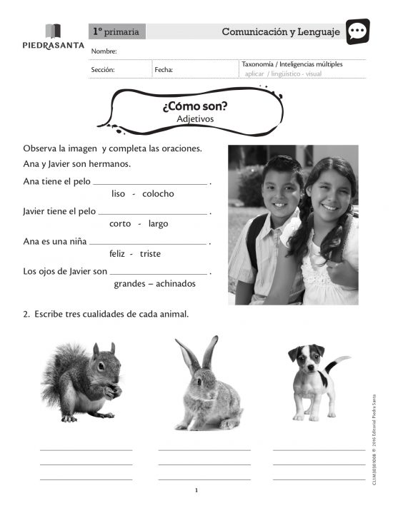 ¿Cómo son?