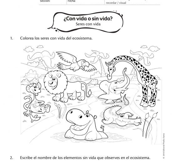 ¿Con vida o sin vida?