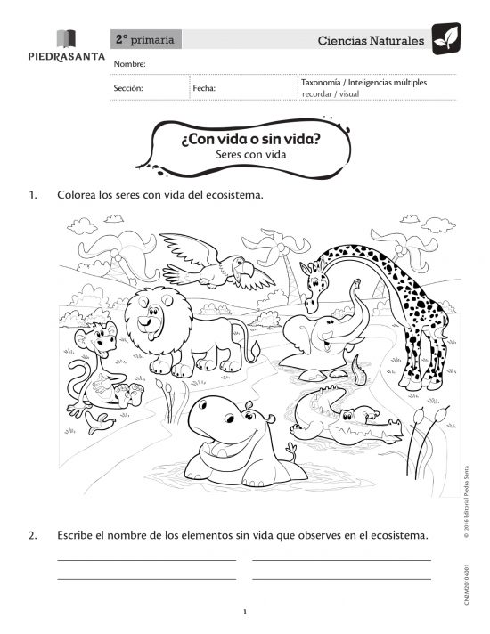 ¿Con vida o sin vida?