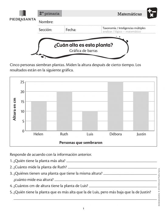 ¿Cuán alta es esta planta?
