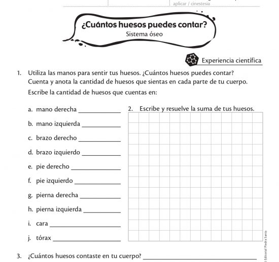 ¿Cuántos huesos puedes contar?