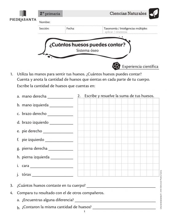 ¿Cuántos huesos puedes contar?