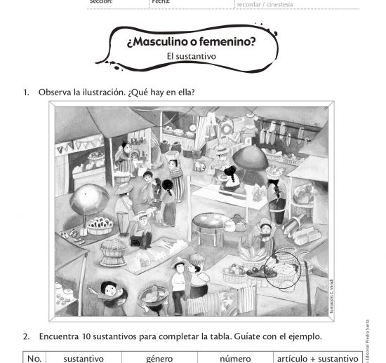 ¿Masculino o femenino?