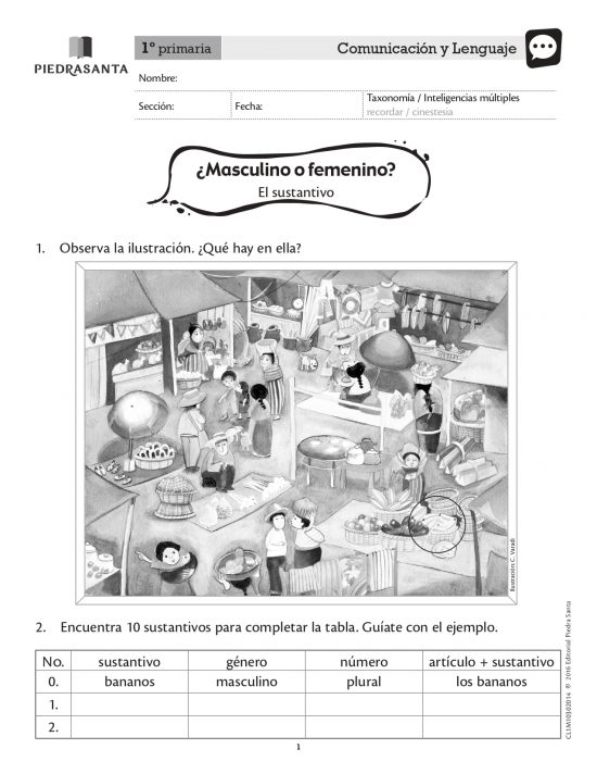 ¿Masculino o femenino?