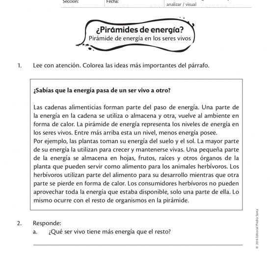 ¿Pirámides de energía?