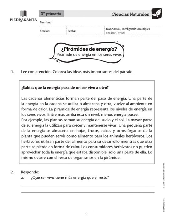 ¿Pirámides de energía?