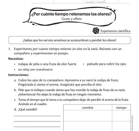 ¿Por cuánto tiempo retenemos los olores?
