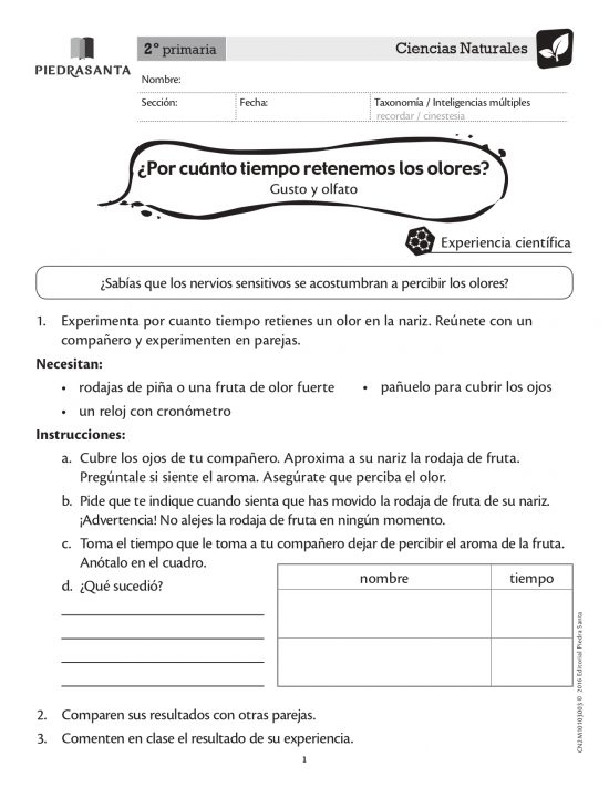 ¿Por cuánto tiempo retenemos los olores?