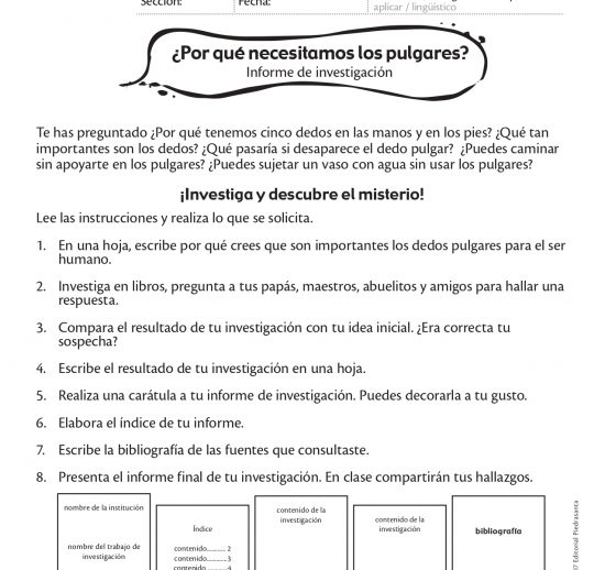 ¿Por qué necesitamos los pulgares?