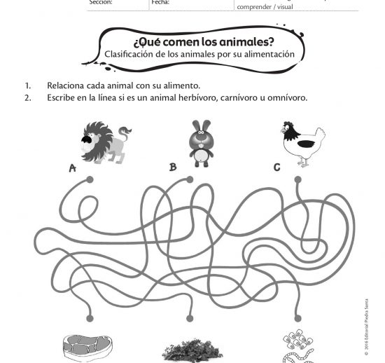 ¿Qué comen los animales?
