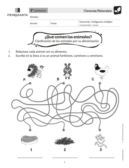 ¿Qué comen los animales?