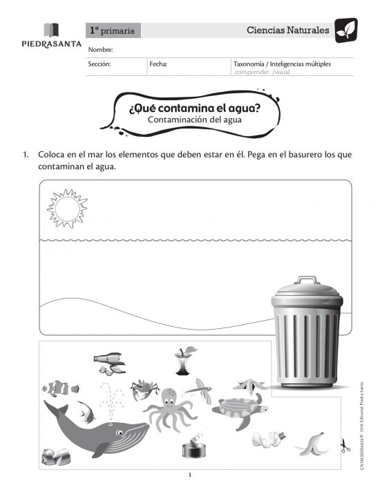¿Qué contamina el agua?