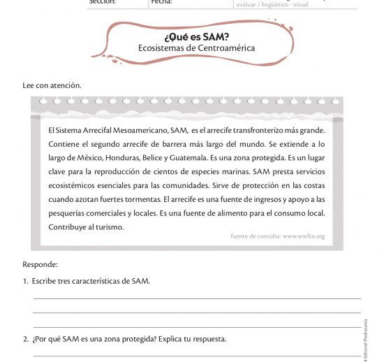 ¿Qué es SAM?