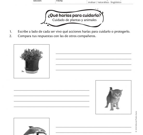 ¿Qué harías para cuidarlo?