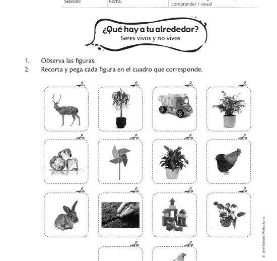¿Qué hay a tu alrededor?