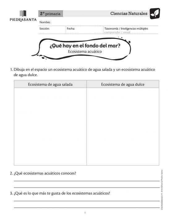 ¿Qué hay en el fondo del mar?