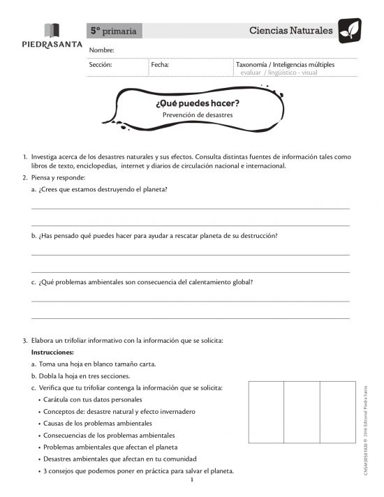 ¿Qué puedes hacer?