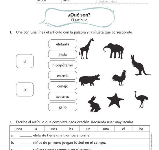 ¿Qué son?