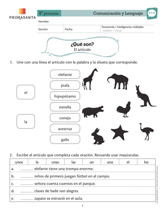 ¿Qué son?