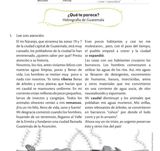 ¿Qué te parece?