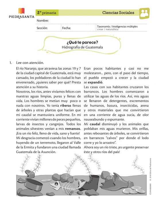 ¿Qué te parece?