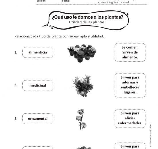 ¿Qué uso le damos a las plantas?