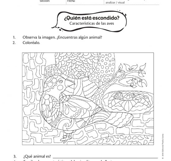 ¿Quién está escondido?