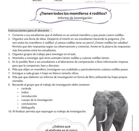 ¿Tienen todos los mamíferos 4 rodillas?