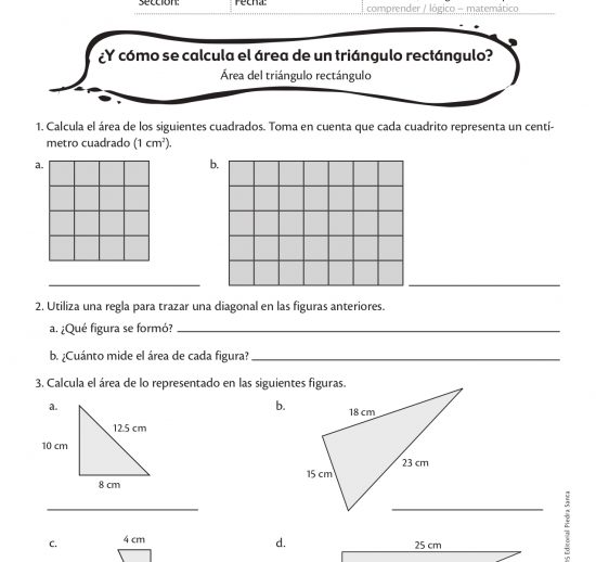 ¿Y cómo se calcula el área de un triángulo rectángulo?