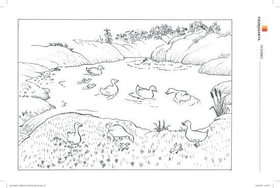 Colorea el paisaje