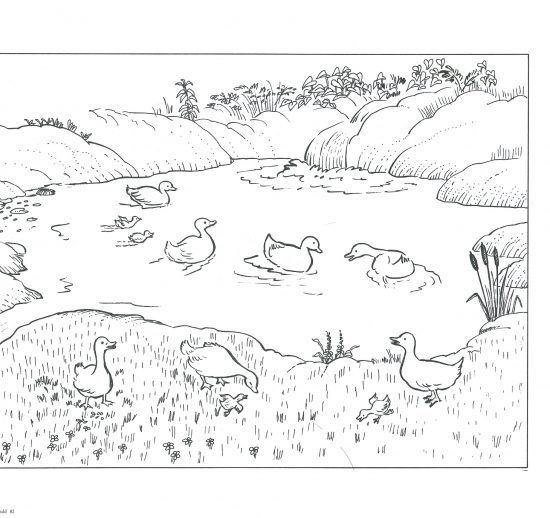 Colorea el paisaje
